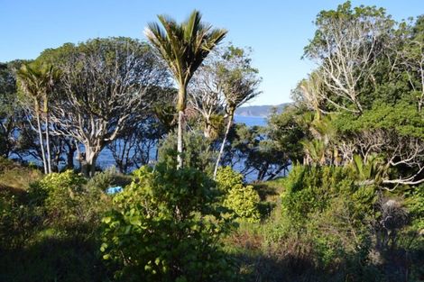 Photo of property in 24 Boulder Bay Drive, Tuateawa, Coromandel, 3583