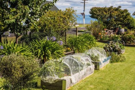 Photo of property in 103 Ash Street, Thames, 3500