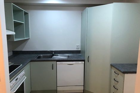 Photo of property in Courtenay Apartments, 211/120 Courtenay Place, Te Aro, Wellington, 6011