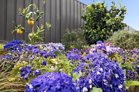 Photo of property in Waterview Estate, 85/4 Greystone Place, Omokoroa, 3114