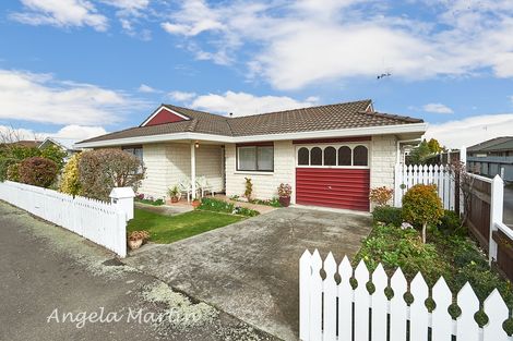 Photo of property in 30 Fitzroy Street, Terrace End, Palmerston North, 4410