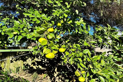 Photo of property in 42 Russell Road, Manurewa, Auckland, 2102