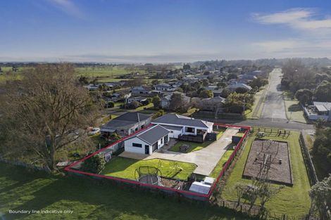 Photo of property in 29 Tokomaru Road, Tokomaru, Palmerston North, 4474