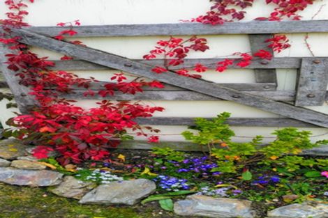 Photo of property in 13 Tamblyn Drive, Lake Roxburgh Village, Roxburgh, 9571