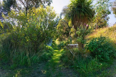 Photo of property in 317 Caseys Road, Blind River, Seddon, 7285