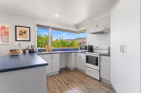 Photo of property in 34 Appaloosa Avenue, Richmond, 7020