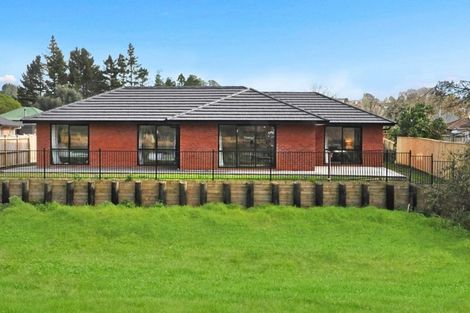 Photo of property in 11 Riverboat Lane, Helensville, 0800