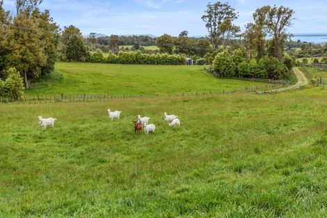 Photo of property in 1039e Work Road, Whakamarama, Katikati, 3181