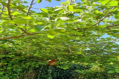 Photo of property in 78 Long Melford Road, Awapuni, Palmerston North, 4412