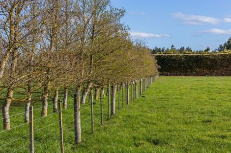 Photo of property in 1727 South Eyre Road, Eyrewell, Rangiora, 7476