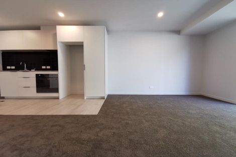 Photo of property in Pinnacle Apartments, W301/160 Victoria Street, Te Aro, Wellington, 6011