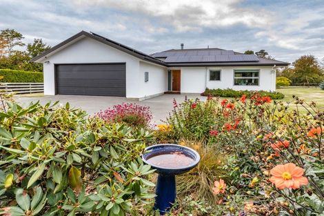 Photo of property in 43 Stott Drive, Darfield, 7571