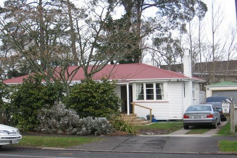 Photo of property in 141 Rimu Street, Maeroa, Hamilton, 3200