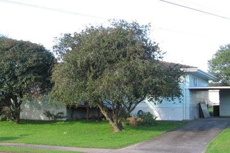 Photo of property in 58 Zelda Avenue, Clover Park, Auckland, 2023