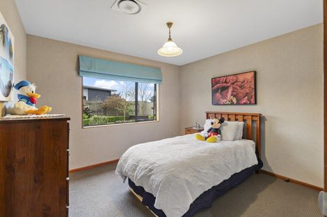 Photo of property in 14 Trump Place, Kelvin Grove, Palmerston North, 4414