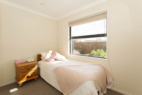 Photo of property in 25 Geoff Geering Drive, Netherby, Ashburton, 7700