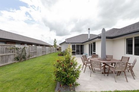 Photo of property in 5 Trauzer Place, Flagstaff, Hamilton, 3210