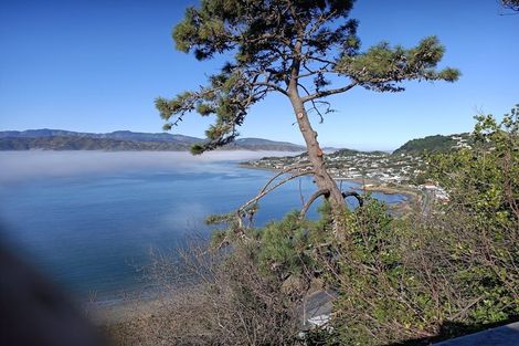 Photo of property in 164 Seatoun Heights Road, Seatoun, Wellington, 6022