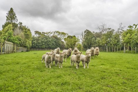 Photo of property in 1347 Camerons Line, Aorangi, Feilding, 4775