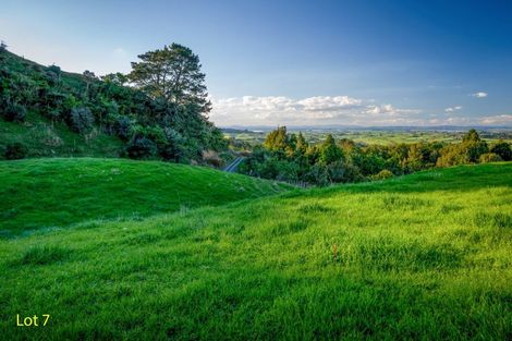 Photo of property in 300 Mcdonald Mine Road, Waikokowai, Huntly, 3771