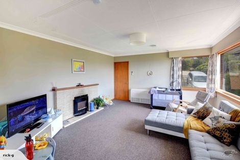Photo of property in 48 Salmond Street, Halfway Bush, Dunedin, 9010