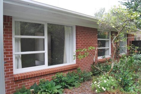 Photo of property in 3/49 Dominion Street, Takapuna, Auckland, 0622