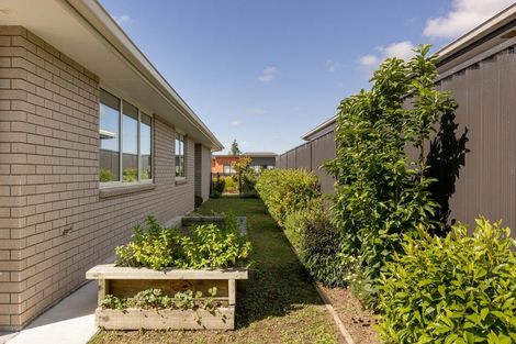 Photo of property in 88 Sentinel Avenue, Omokoroa, 3114