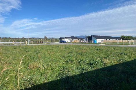 Photo of property in 58 Greig Crescent, Amberley, 7481