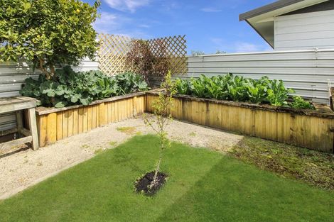 Photo of property in 18 Johnston Street, Foxton, 4814