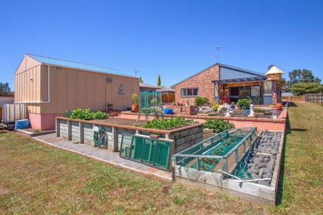 Photo of property in 11 Wenlock Street, Waihi, 3610