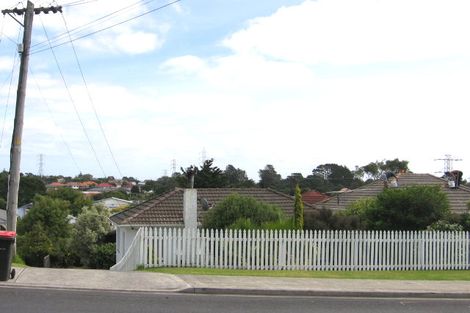 Photo of property in 51 Rogan Street, Mount Roskill, Auckland, 1041