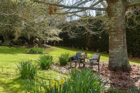 Photo of property in 16 Plane Tree Lane, Tauriko, Tauranga, 3110