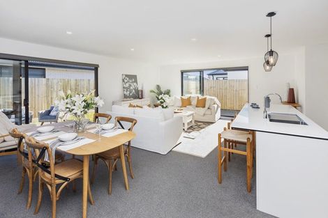 Photo of property in 27 Sarah Nicholls Street, Belfast, Christchurch, 8051