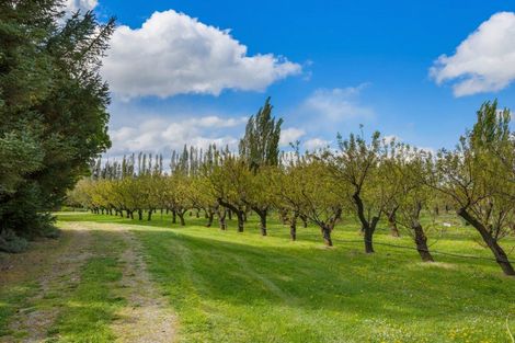 Photo of property in 25 Blackman Road, Blackmans, Alexandra, 9391