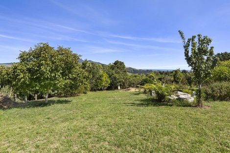 Photo of property in 11 Somerset Lane, Raglan, 3295