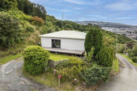 Photo of property in 9 Robinson Street, Lookout Point, Dunedin, 9011