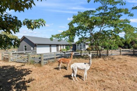 Photo of property in 302b State Highway 26, Newstead, Hamilton, 3286