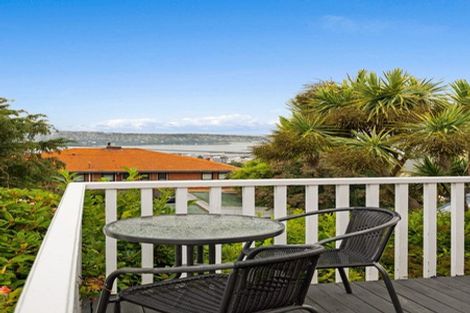 Photo of property in 5a Fifield Street, Roslyn, Dunedin, 9010