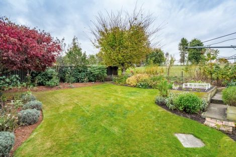 Photo of property in 11 Puriri Street, Highfield, Timaru, 7910