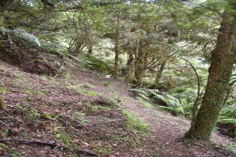 Photo of property in 2005 Ongarue Stream Road, Waimiha, 3998