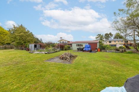 Photo of property in 48 Lochmaben Road, Tokoroa, 3420