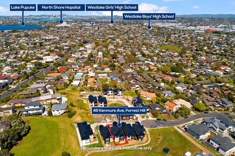 Photo of property in 46b Kenmure Avenue, Forrest Hill, Auckland, 0620