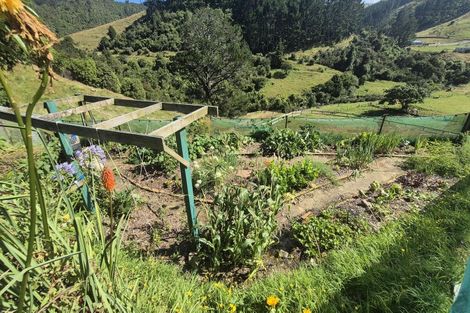 Photo of property in 39 Waitete Road, Waihi, 3681