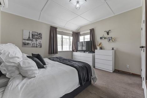 Photo of property in 57 Manson Street, Terrace End, Palmerston North, 4410