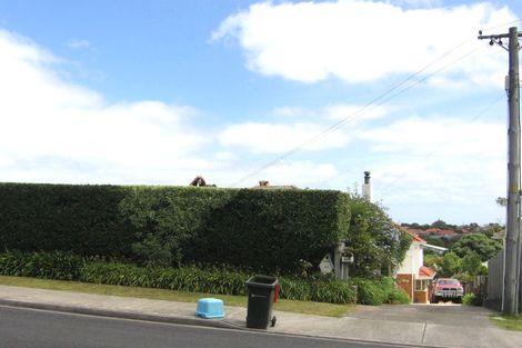 Photo of property in 49 Rogan Street, Mount Roskill, Auckland, 1041