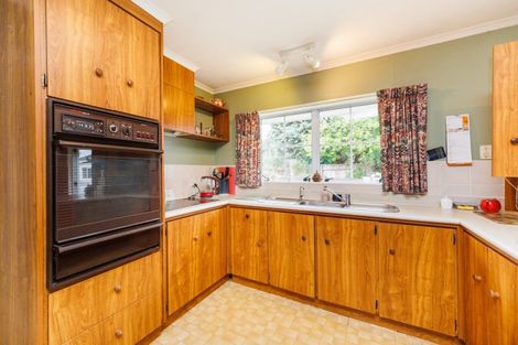 Photo of property in 144 Winchester Street, Ashhurst, 4810