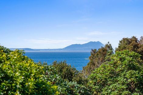 Photo of property in 67 Hauraki Terrace, Pukawa Bay, Turangi, 3381