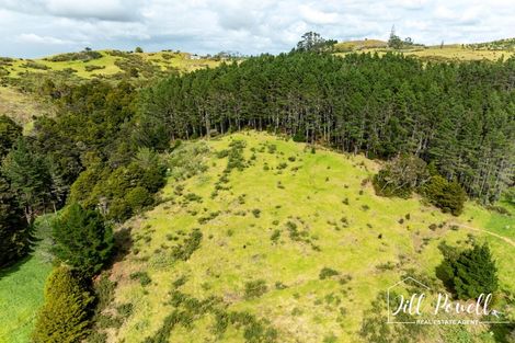 Photo of property in 611 Bickerstaffe Road, Maungaturoto, 0587