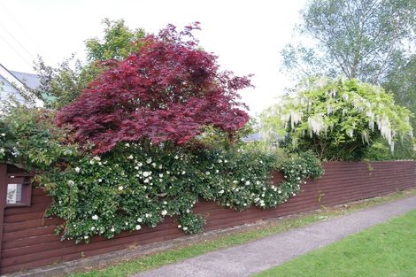 Photo of property in 22 Clarke Street, Waihi, 3610