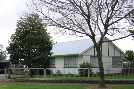 Photo of property in 4 Adkin Avenue, Levin, 5510